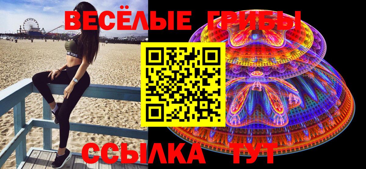 Мценск  Галлюциногенные грибы Magic Shrooms  магазин продажи наркотиков  Вход с VPN 
